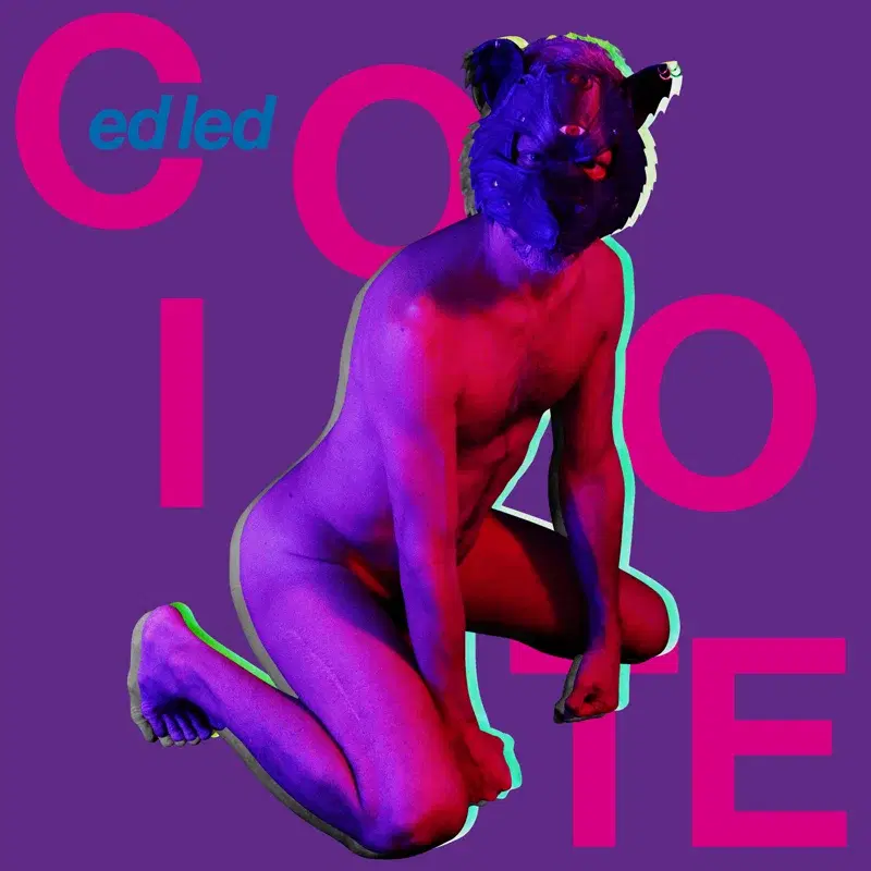 Coiote