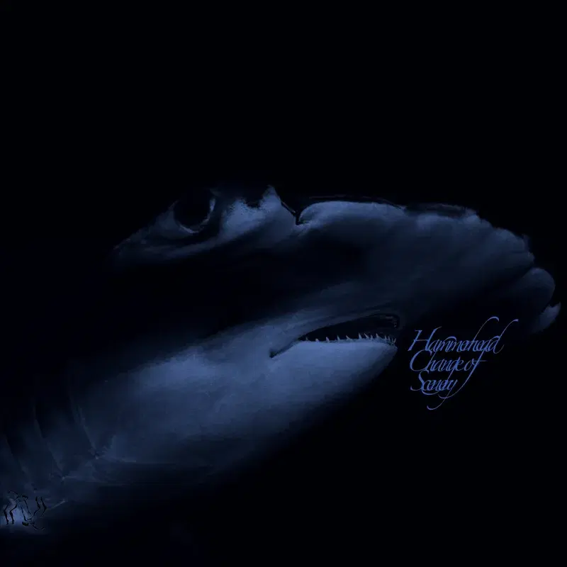 Hammerhead Change Of Scenery