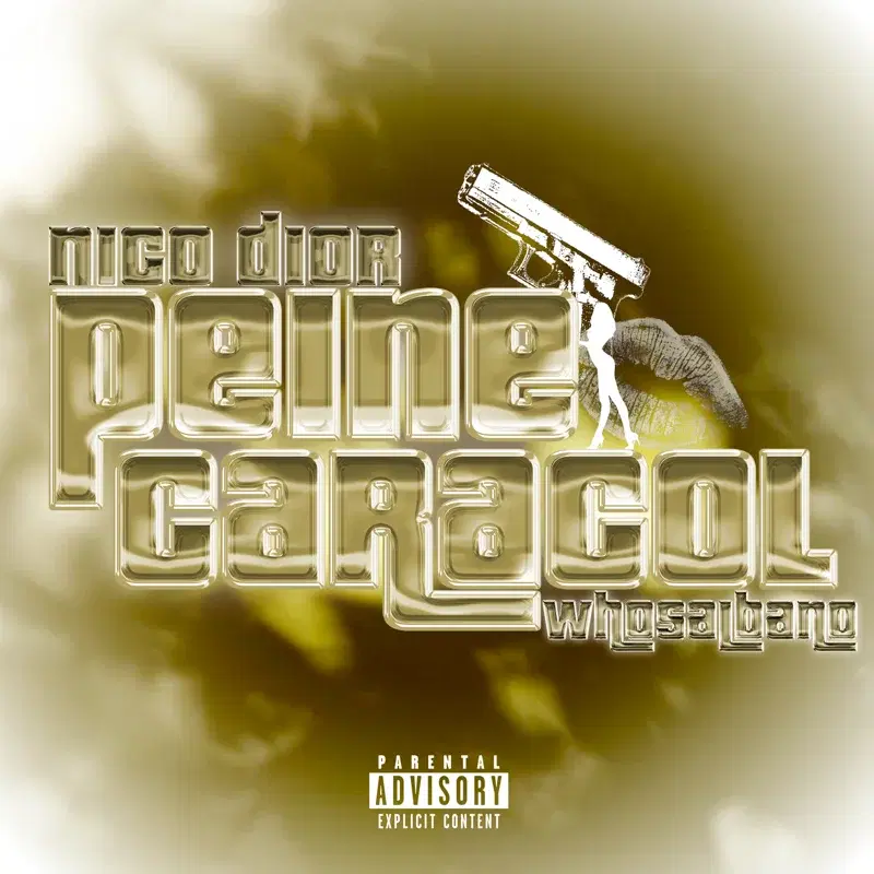 Peine Caracol