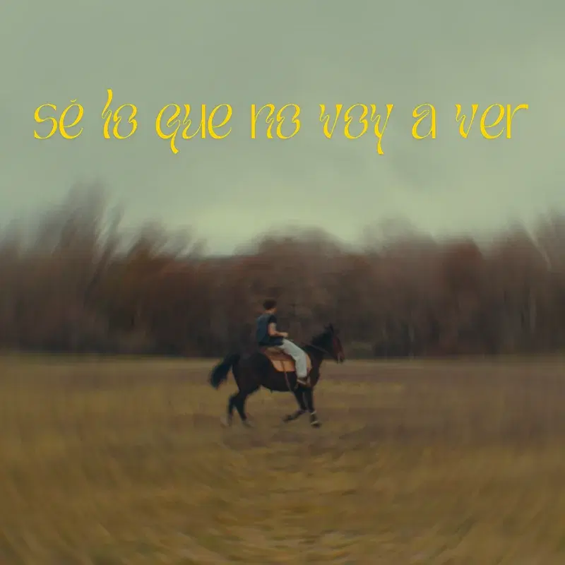 Sé lo que no voy a ver