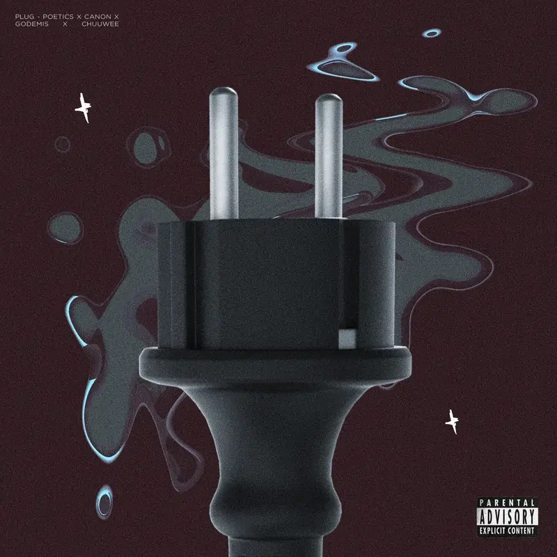 Plug