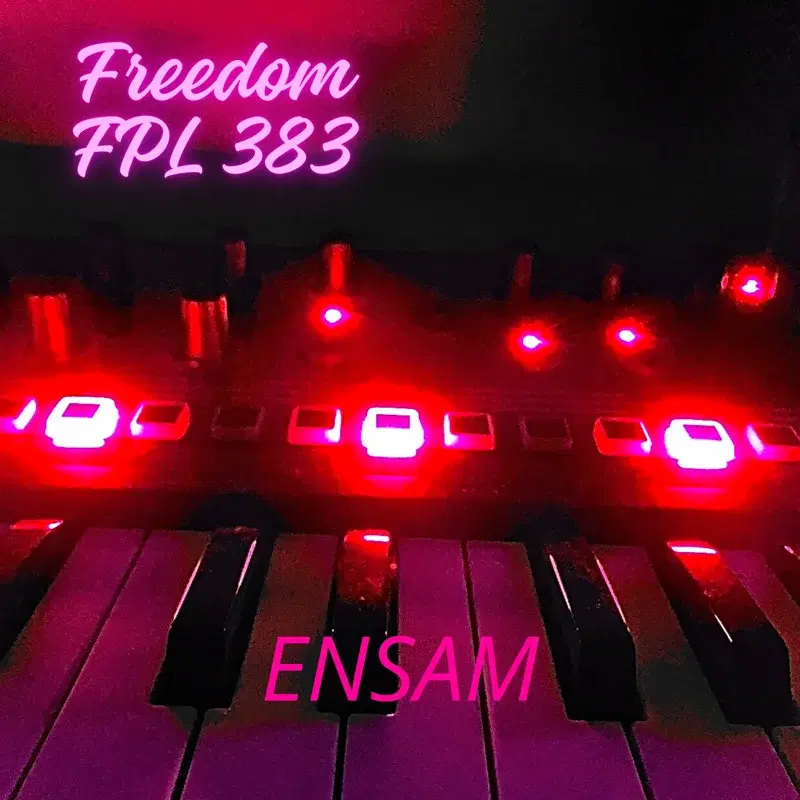 Ensam