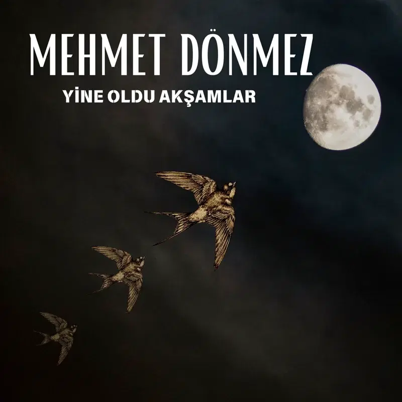 Yine Oldu Akşamlar