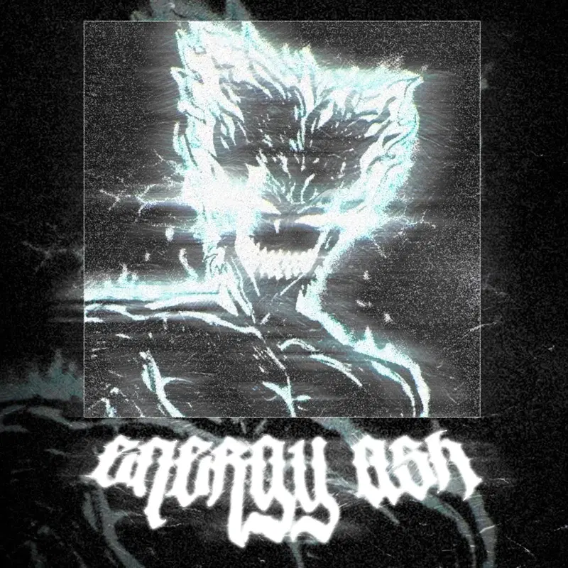 energy ash