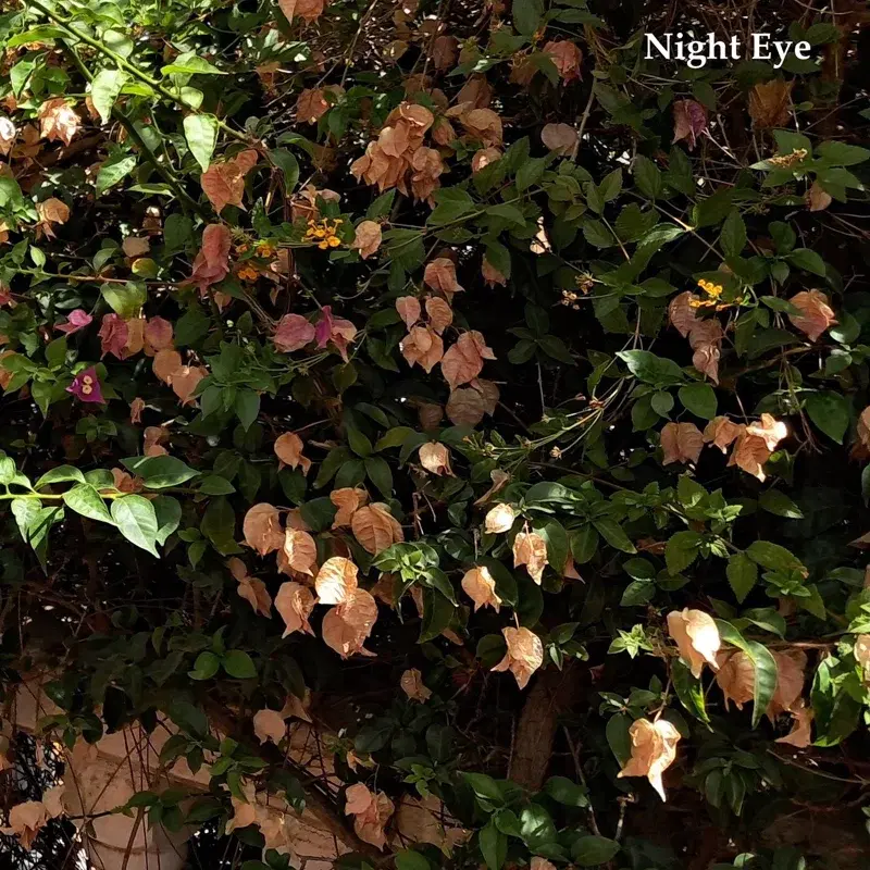 Night Eye