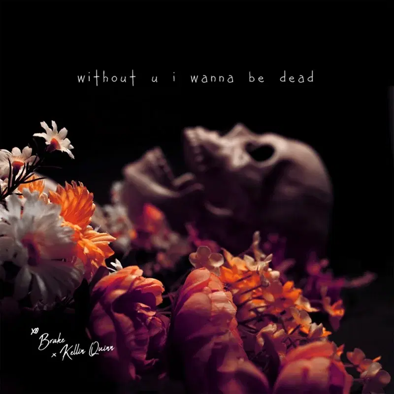 Without U I Wanna Be Dead