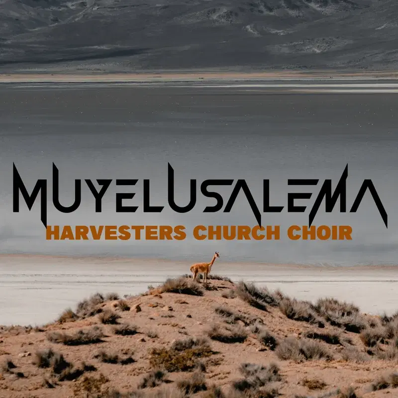 Muyelusalema
