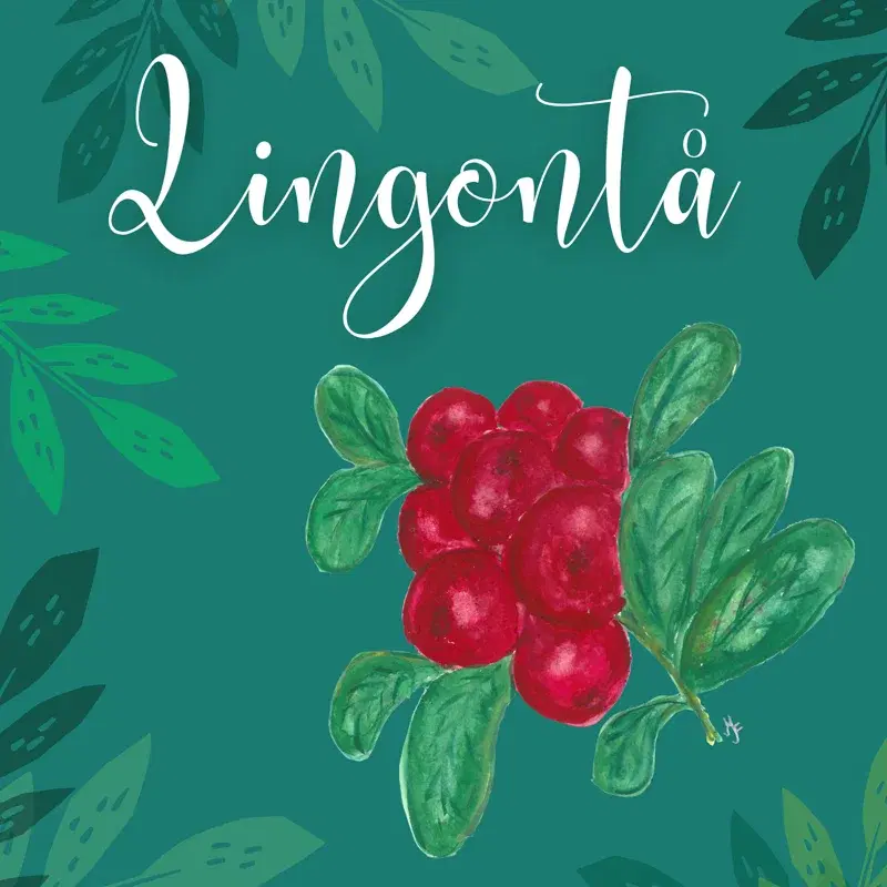 Lingontå
