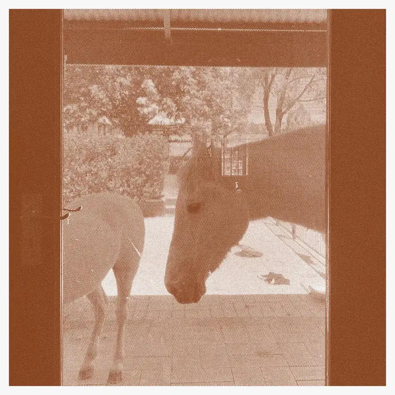 Country/The Country