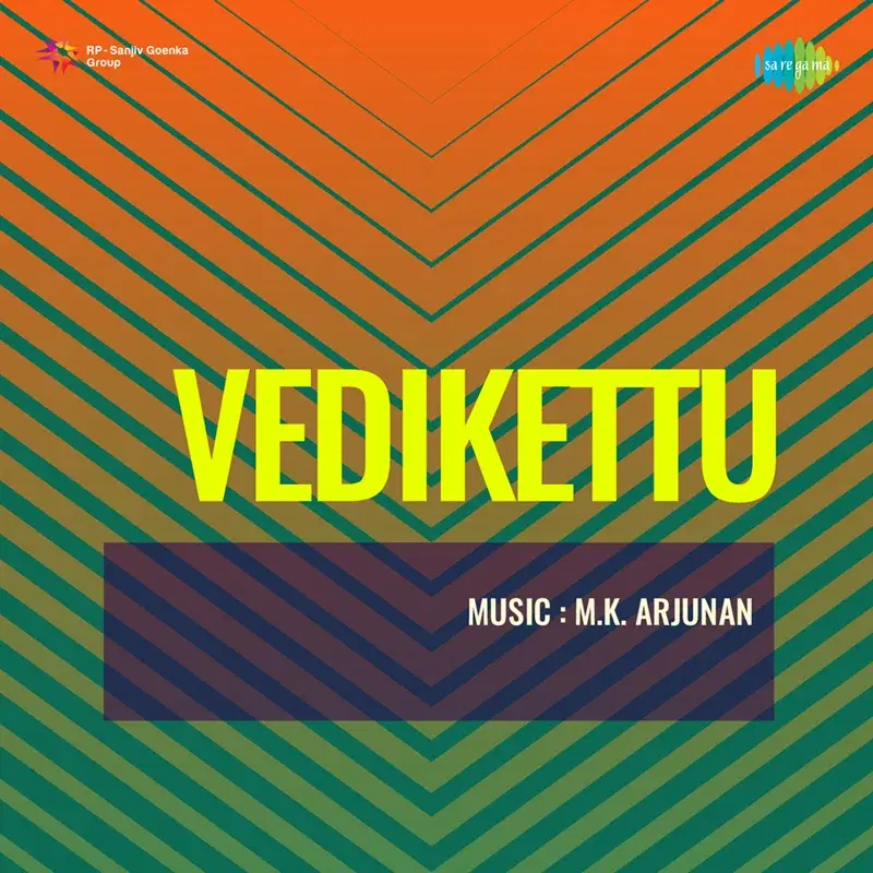 Paalaruvikkarayile (From "Vedikettu") - Single