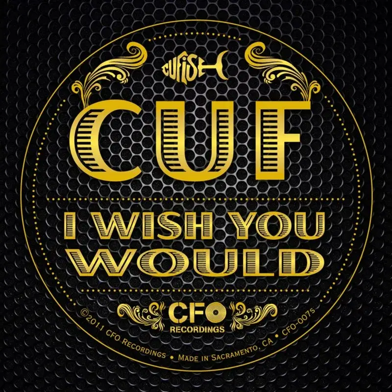 I Wish You Would