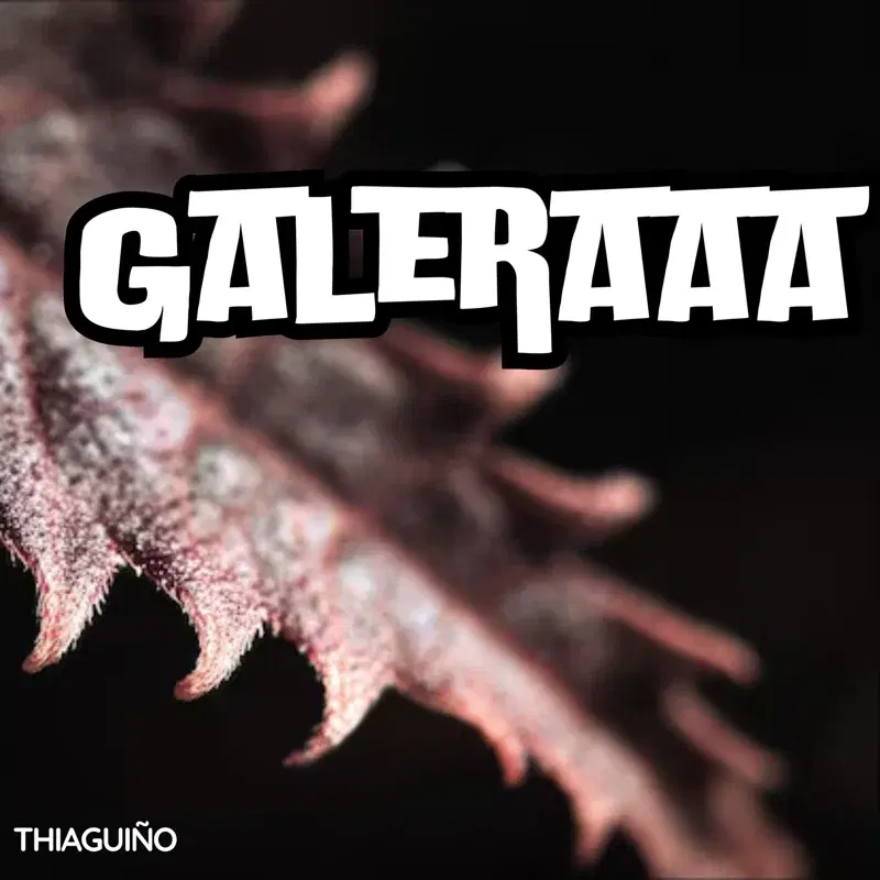 GALERAAA