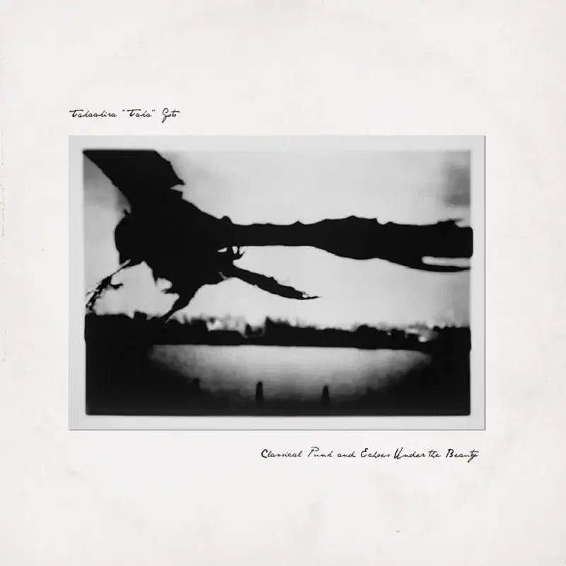 Classical Punk and Echoes Under the Beauty