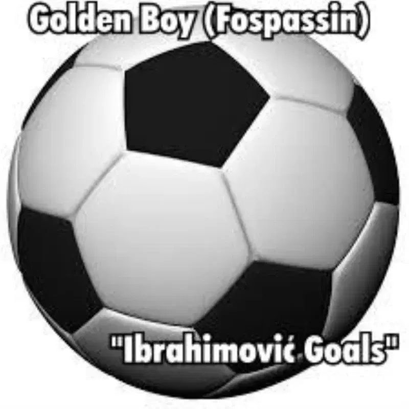 Ibrahimović Goals