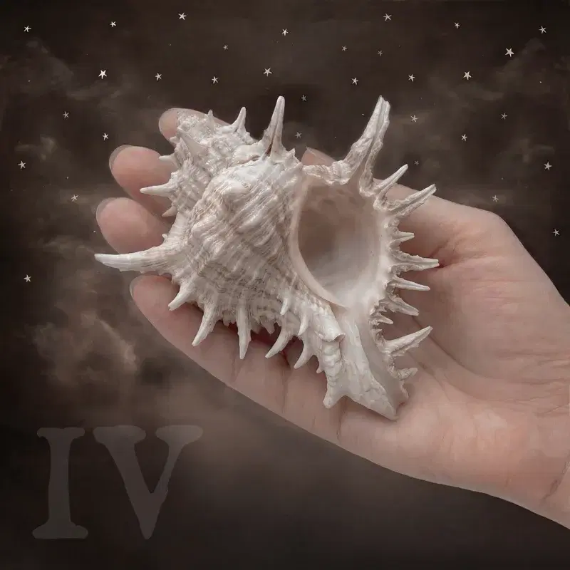 Cabinet of Curiosities, Vol. 4
