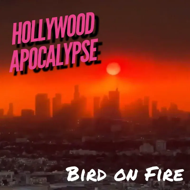Bird on Fire