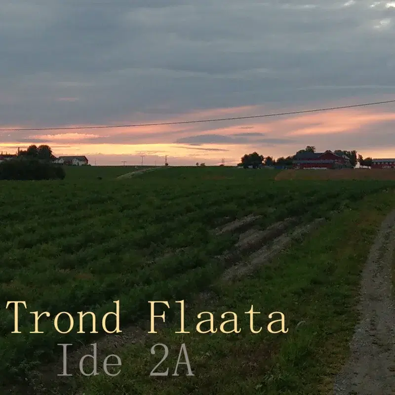 Ide 2A