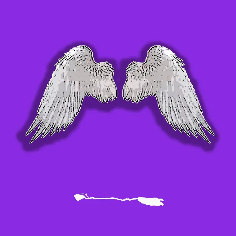 Shadow of Your Wings