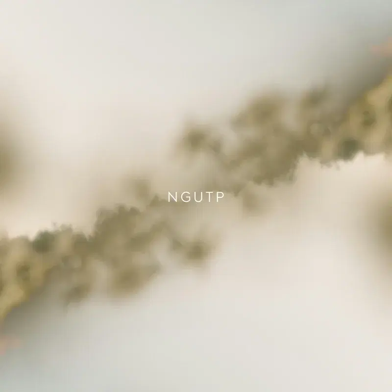 NGUTP