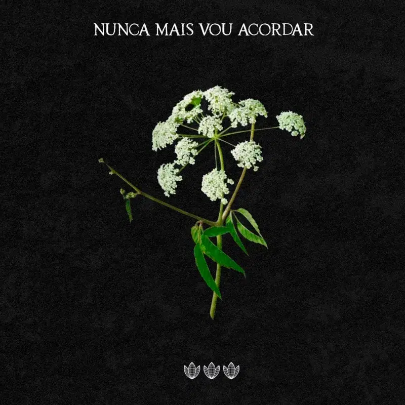 Nunca Mais Vou Acordar
