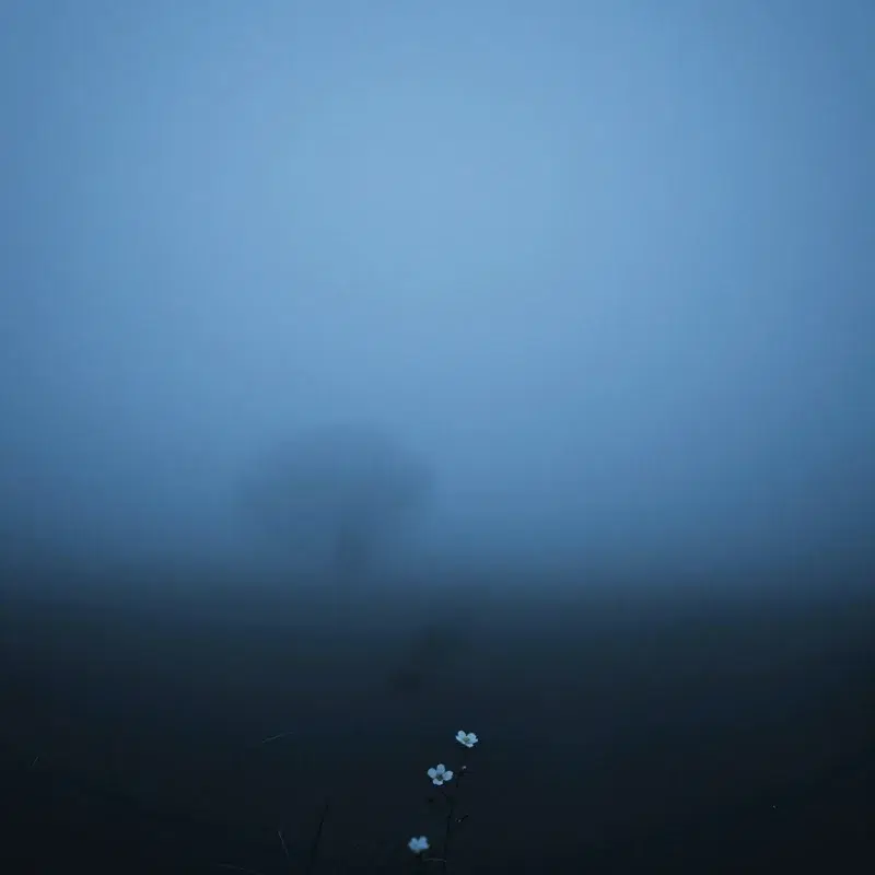 Below the Last Streetlight