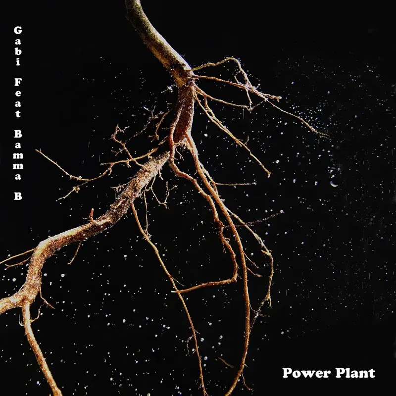 Power Plant