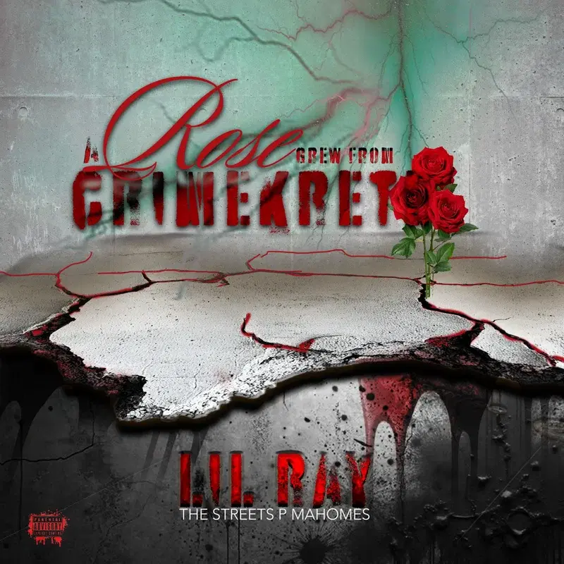 A Rose Grew From Concrete