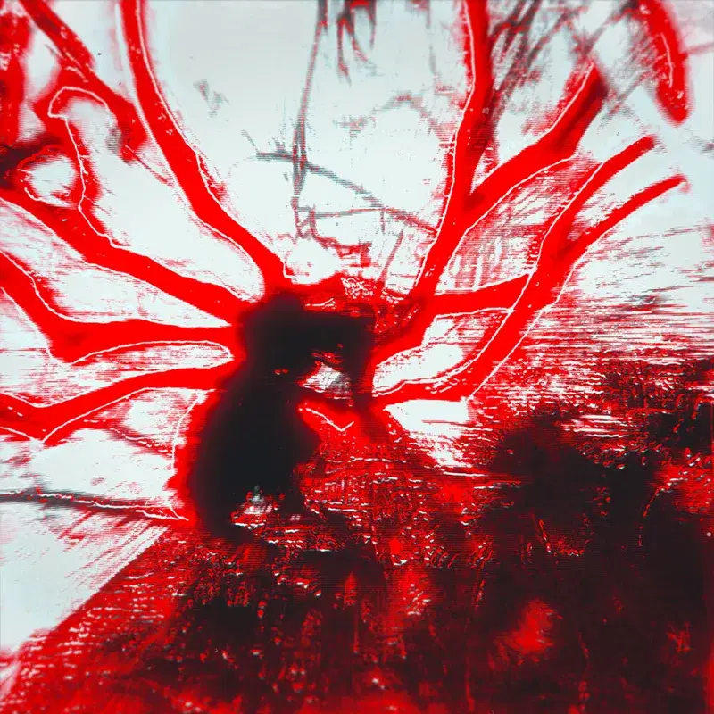 Hxndvhvtxr