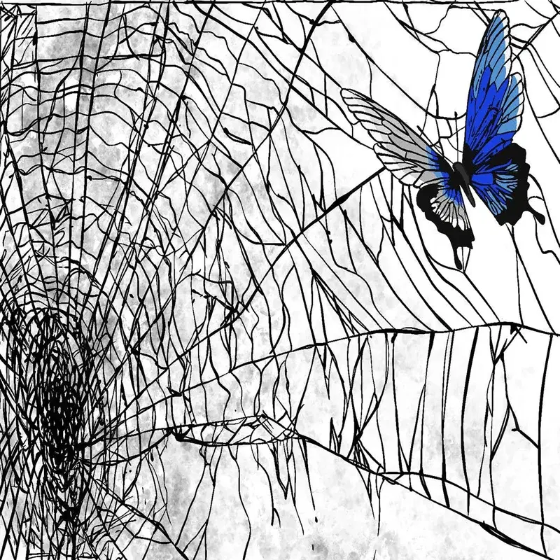 Tela de Araña
