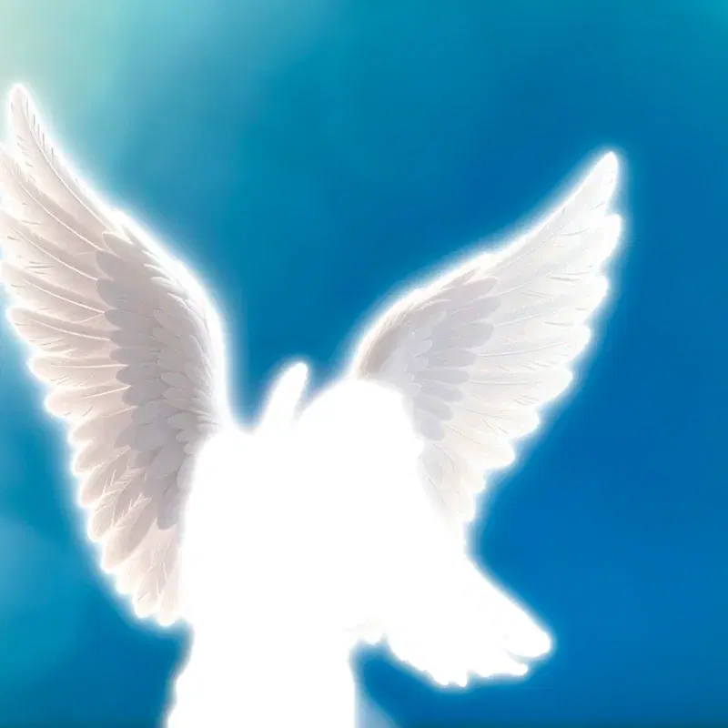 Angel Kiss