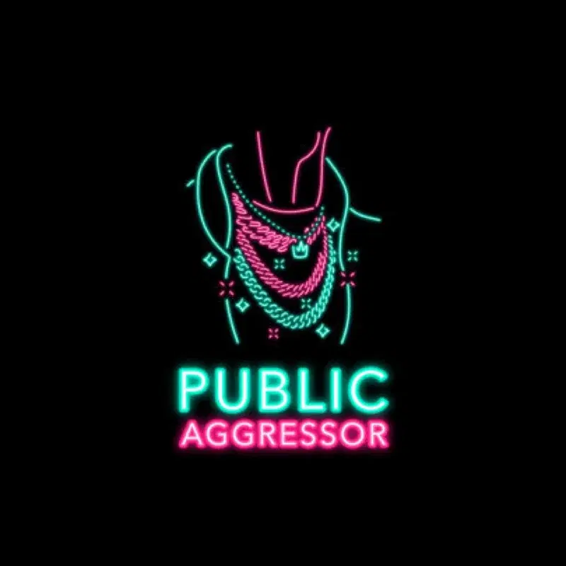 Public Aggressor