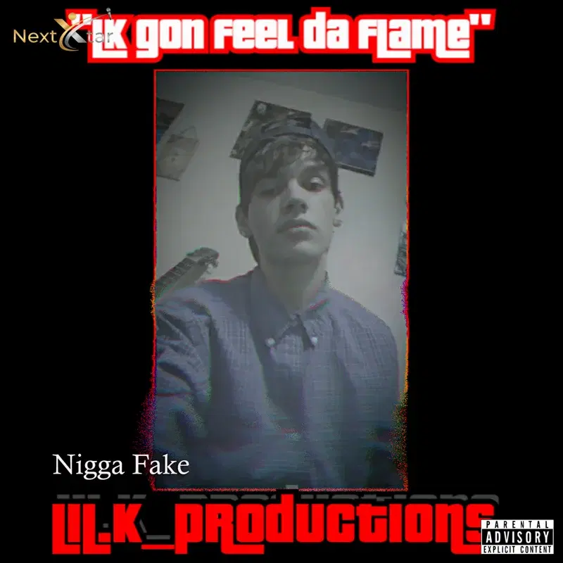 Nigga Fake