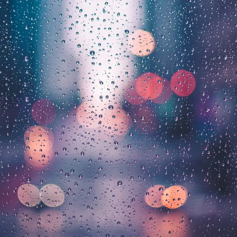 Enjoy the Rain