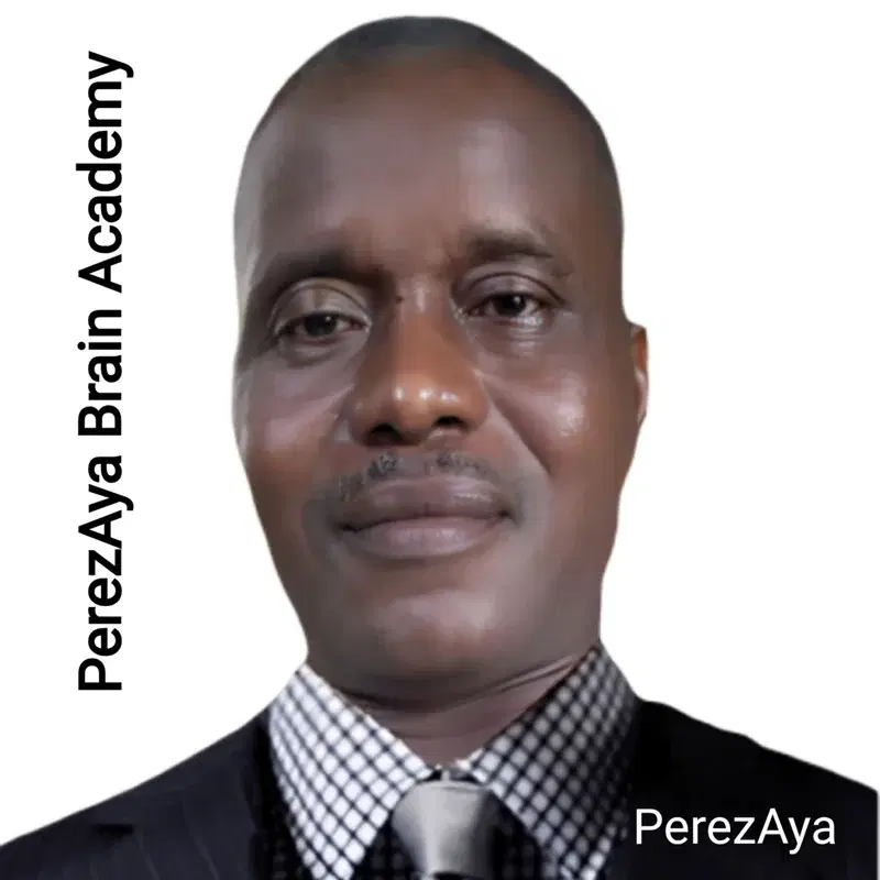 PerezAya Brain Academy