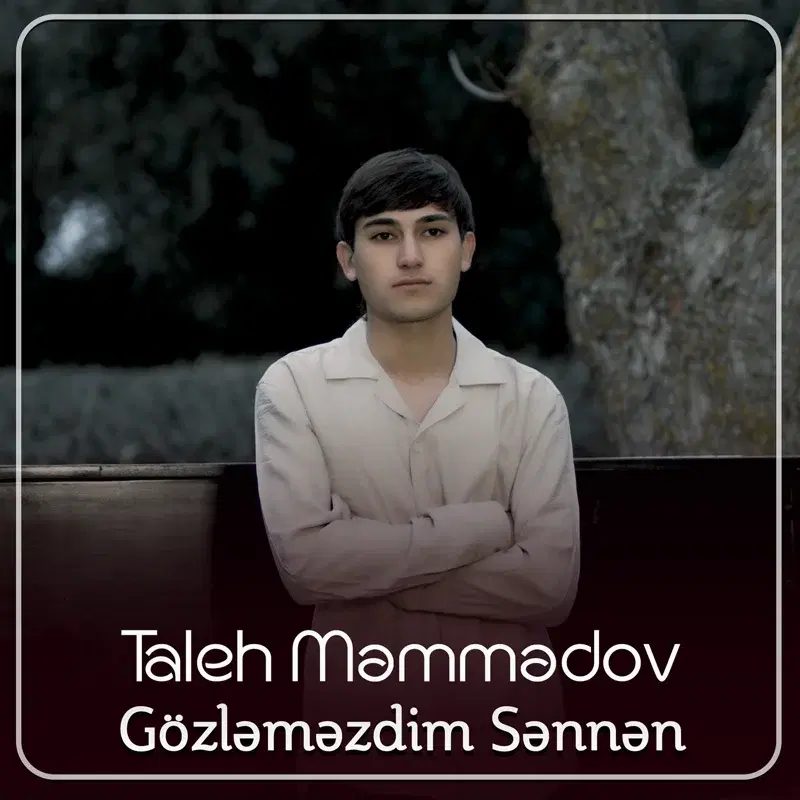 Gözləməzdim Sənnən