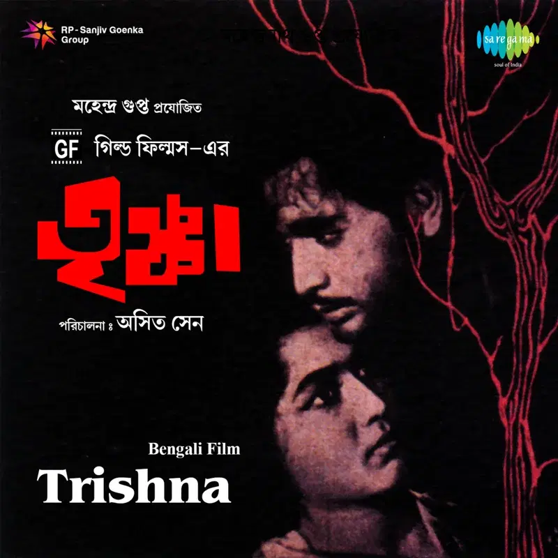 Trishna (Original Motion Picture Soundtrack)