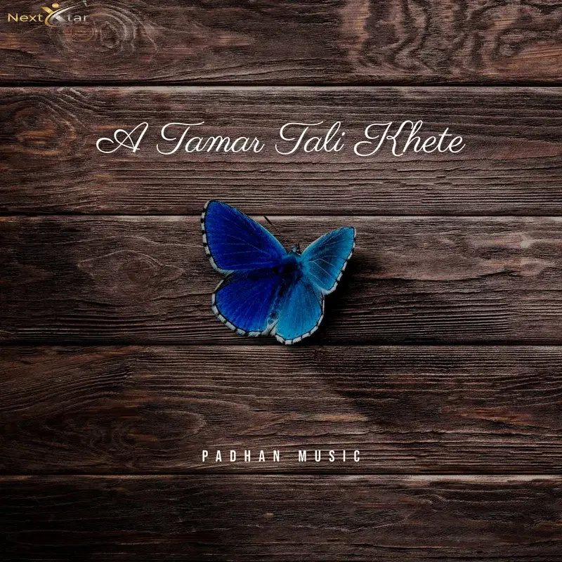 A Tamar Tali Khete