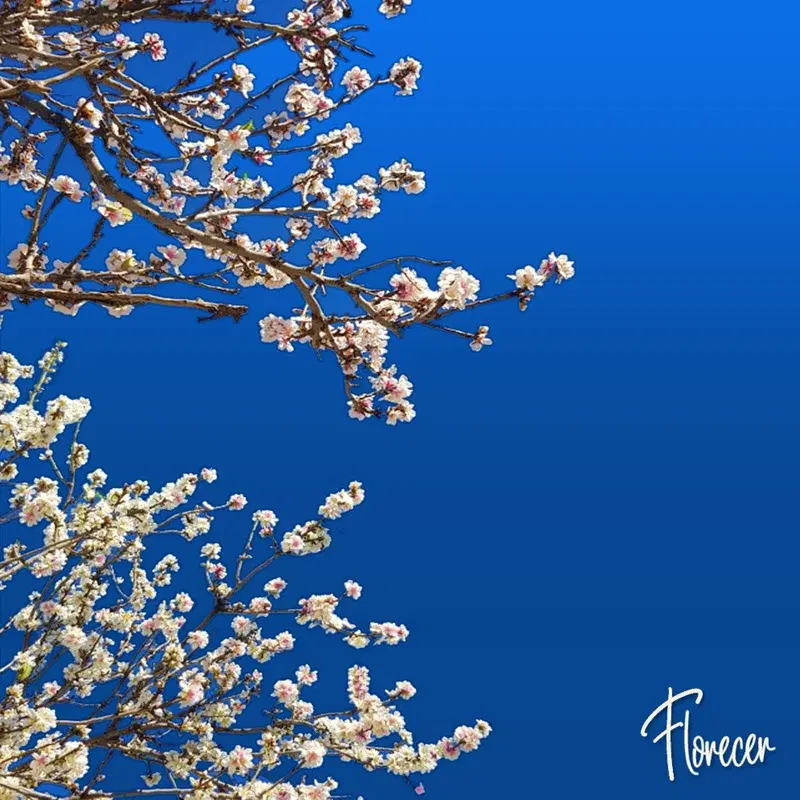 Florecer