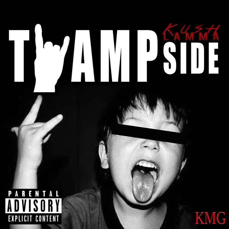 Twampside