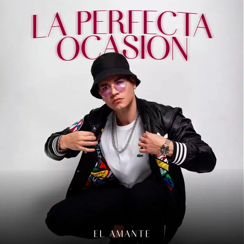 La Perfecta Ocasión