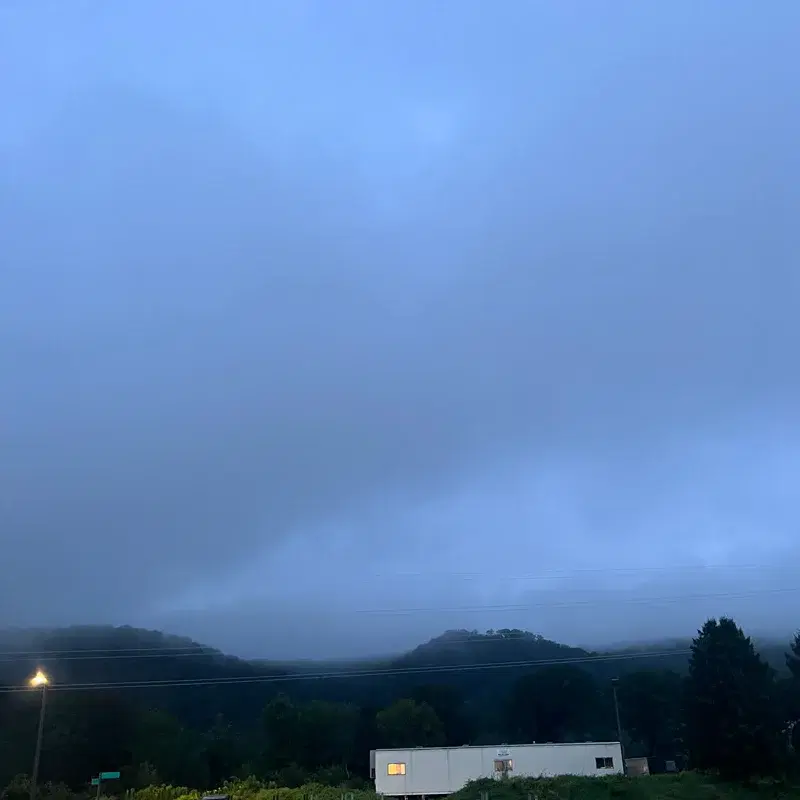 A Farm Cat Watches From The Edge Of The Highway