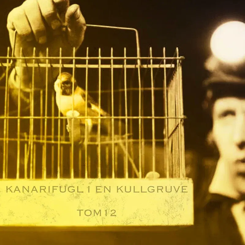 Kanarifugl i en kullgruve