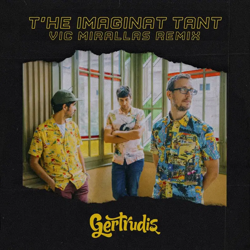 T'he Imaginat Tant (Remix)