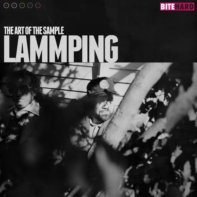 The Art of the Sample