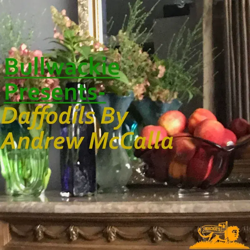 Daffodils