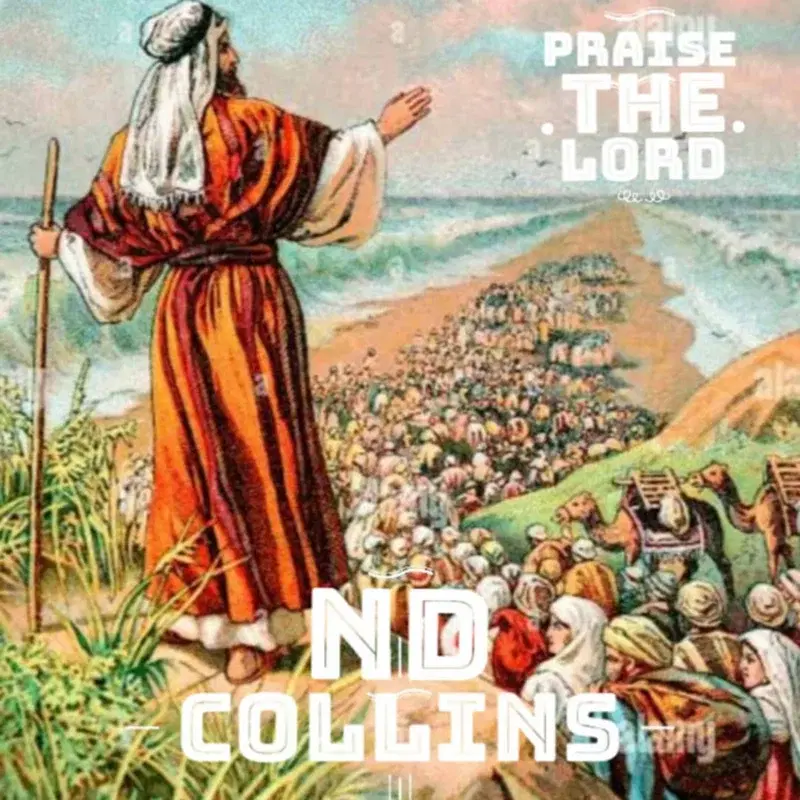 Praise The Lord