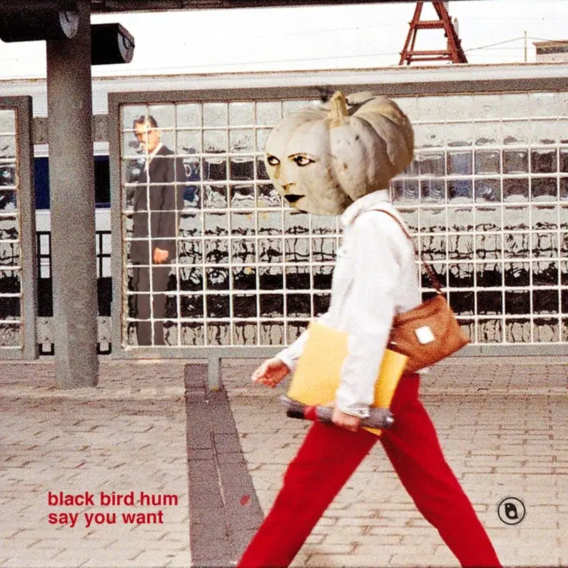 Say You Want