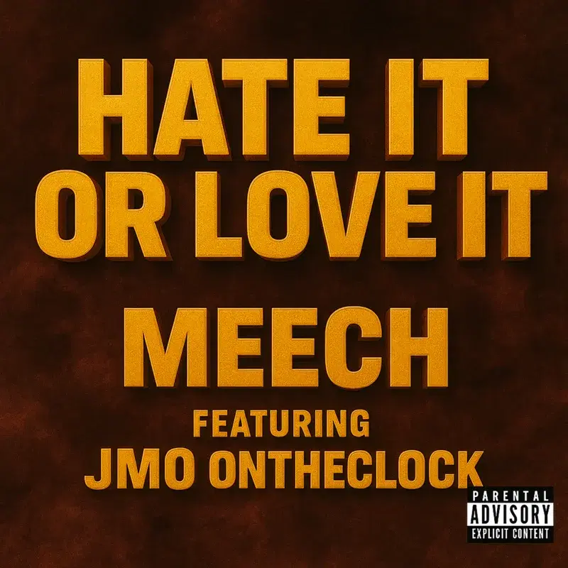 Hate Or Love It