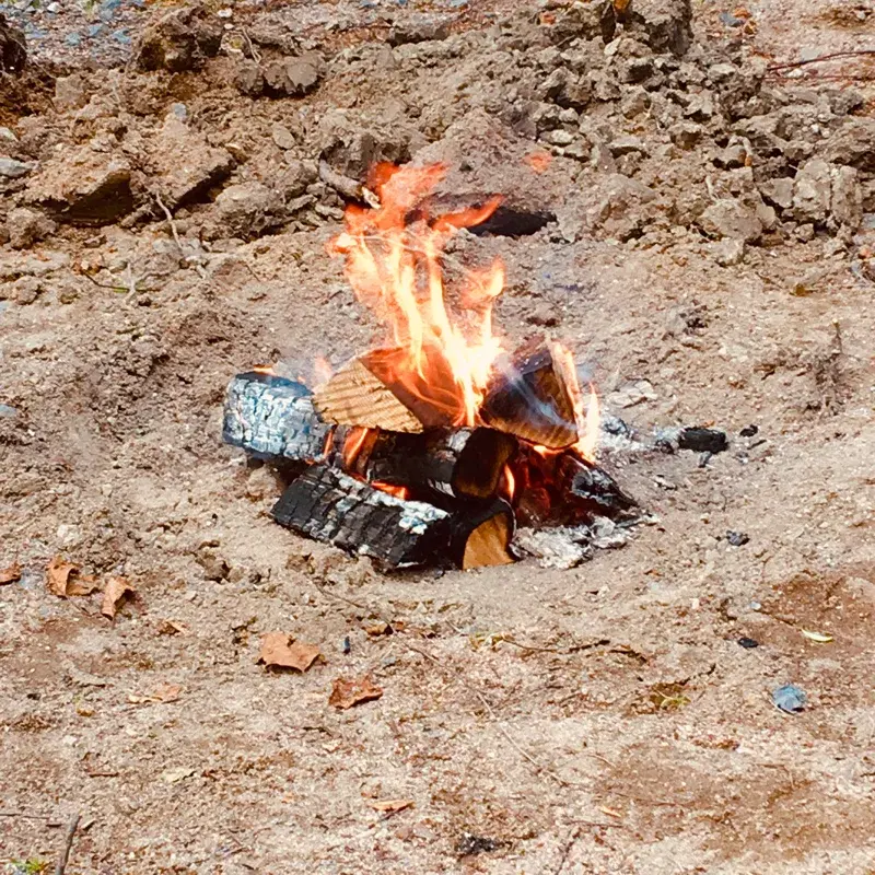 Bonfire