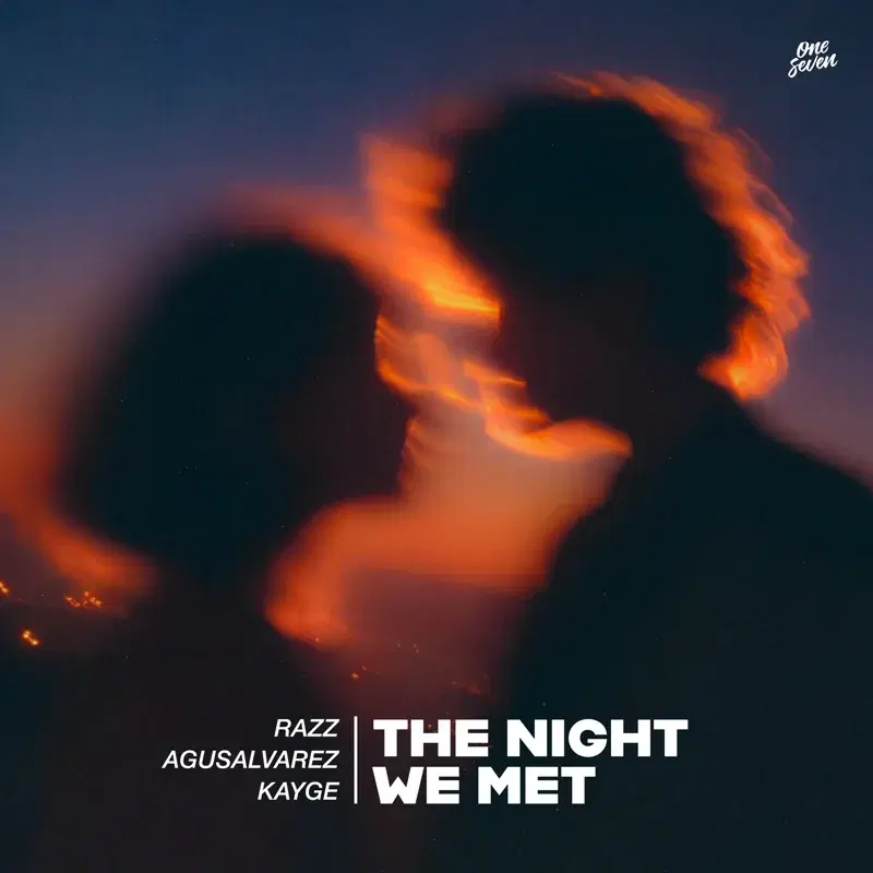 The Night We Met